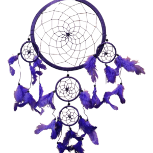 Dromenvanger paars 22 cm – veren